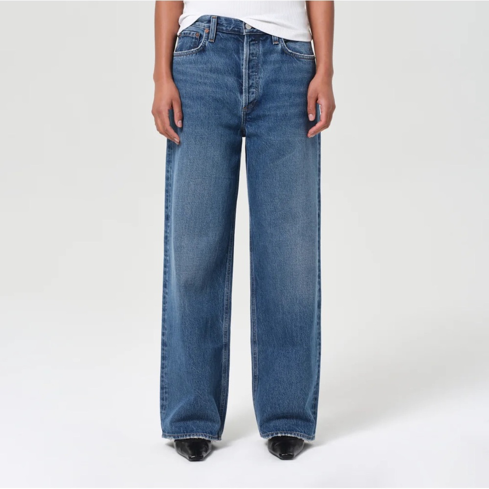 Agolde Low Slung Baggy Jean in Essence